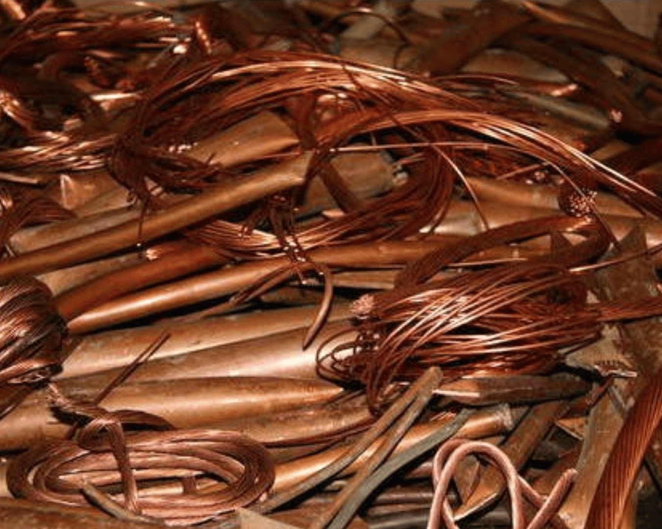 SG Import Exports Services