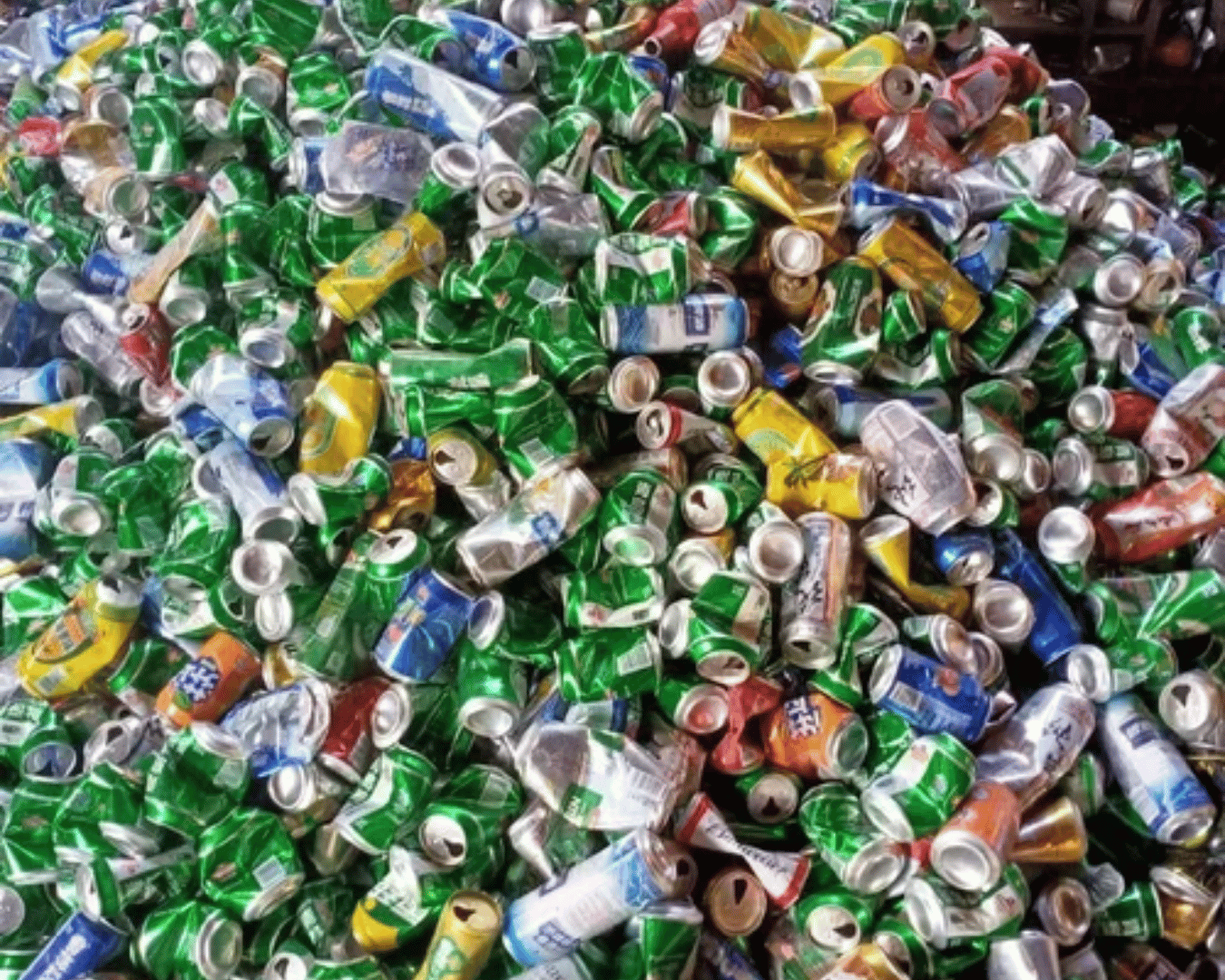 SG Import Exports Services