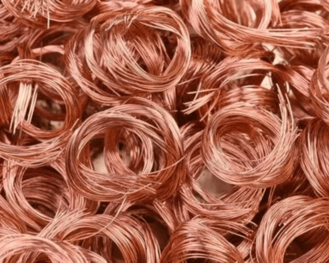 SG Import Exports Services