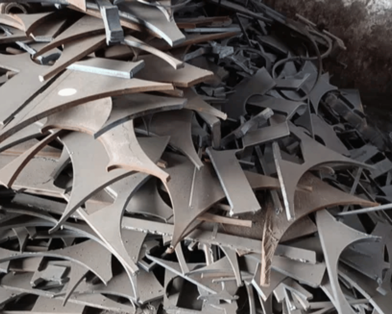 SG Import Exports Services